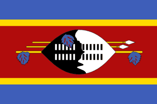 Eswatini flag | SalaryPedia by Singh Yogendra
