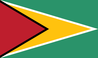Guyana flag | SalaryPedia by Singh Yogendra
