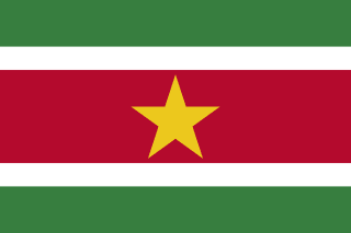 Suriname flag | SalaryPedia by Singh Yogendra
